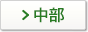 中部
