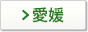 愛媛