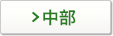 中部